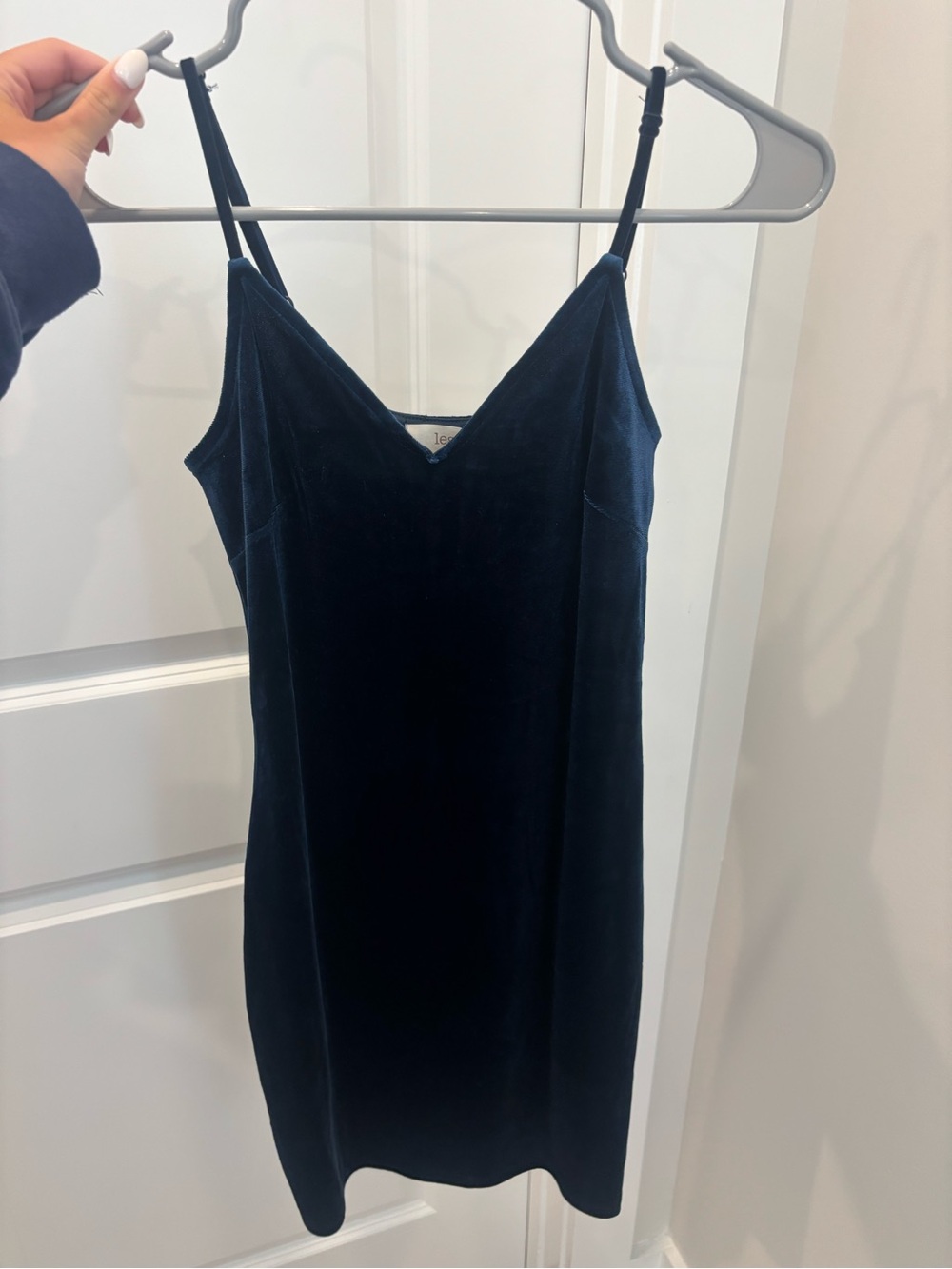 Lizard Thicket Black Velvet Slip Dress